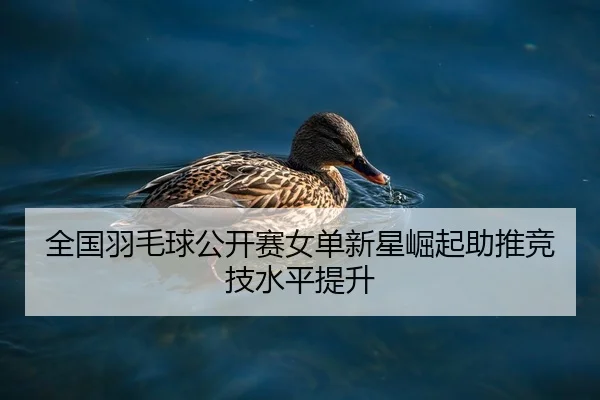 全国羽毛球公开赛女单新星崛起助推竞技水平提升